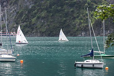 Am See nutzen einige Segler den "Boarischen" aus